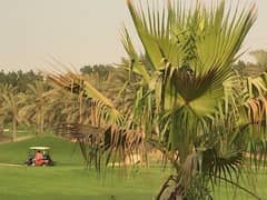 Furnished with own pool - Golf view
