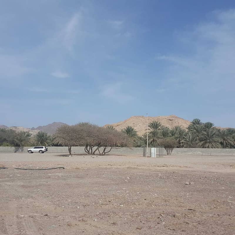 Land for sale in Al Nuaimia at a very fantastic price