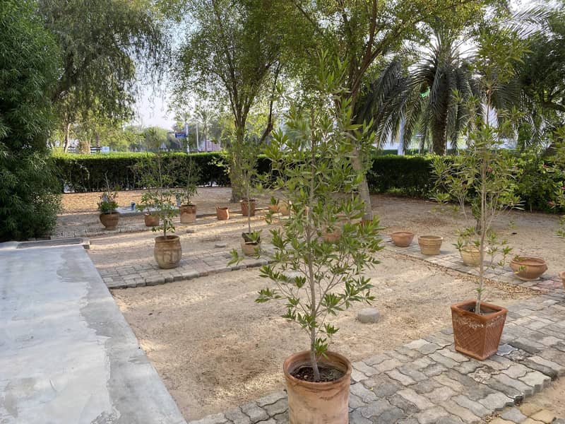 Fabulous 4 bedroom villa in Mushrif Area with private parking - No Comission Fabulous 4 bedroom villa in Mushrif Area with private parking - No Comission