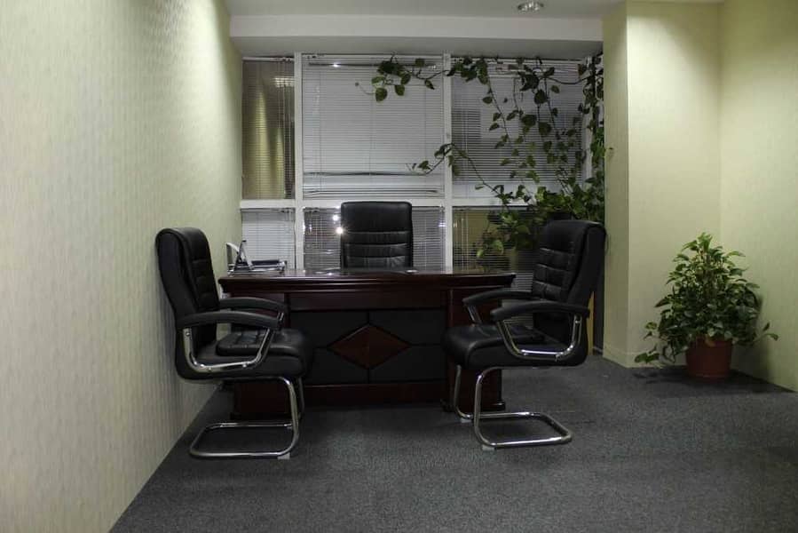 6 Spacious Executive office with access to meeting rooms