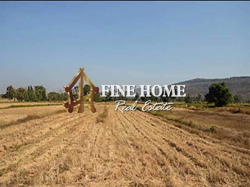 For Sale Big Commercial Land | in Nice Area For Sale Big Commercial Land | in Nice Area