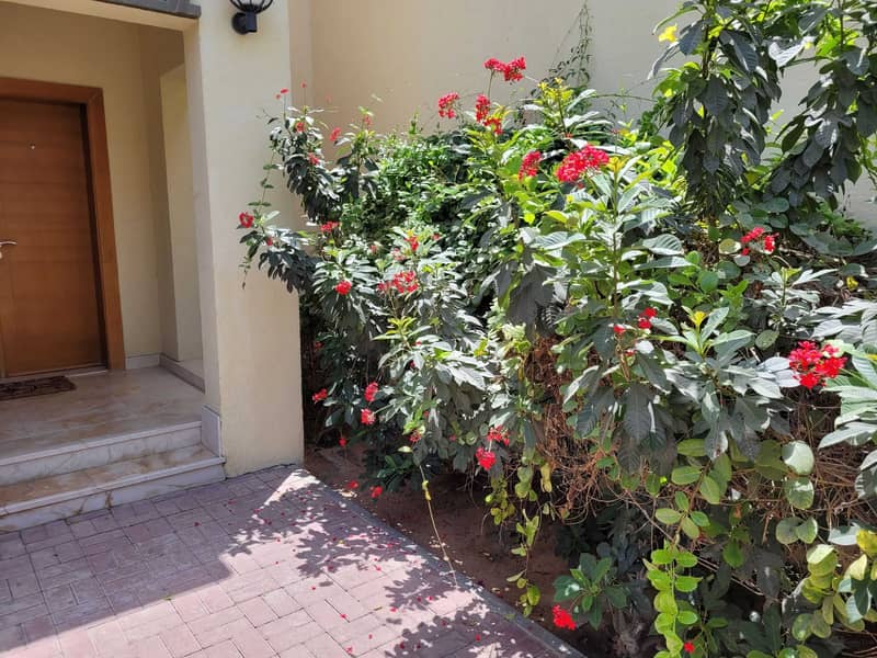 10 Spacious 4BR + Maid's Room with swimming pool in Jumeirah Park