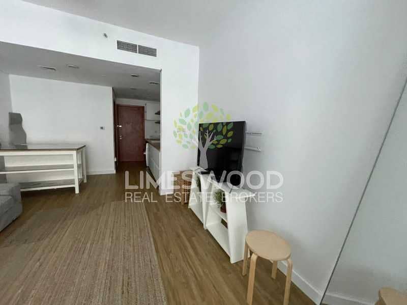 11 Fully Furnished  |  Upgraded Studio with Parking