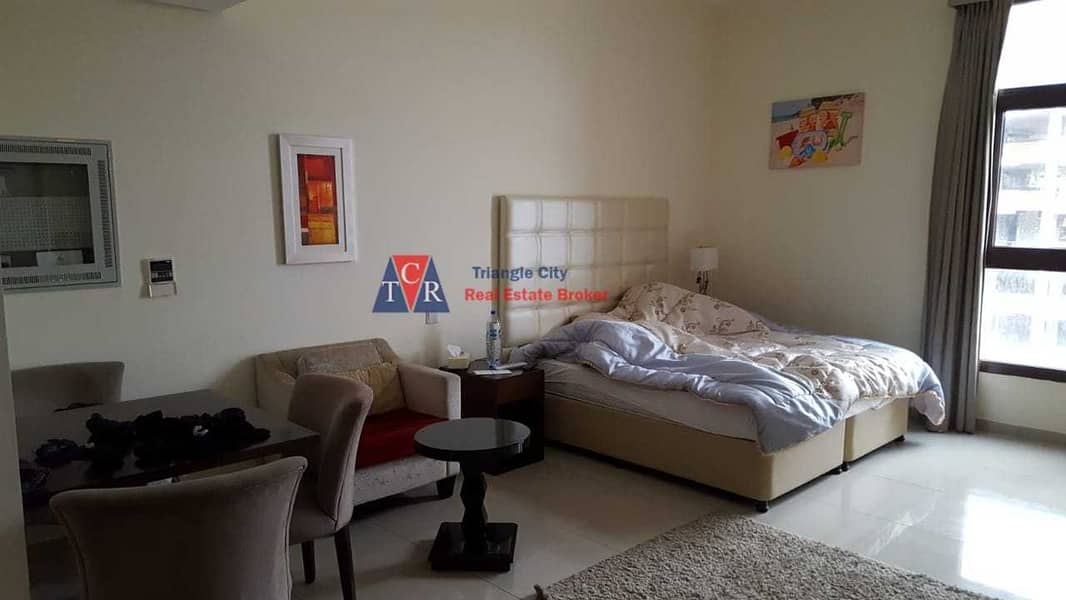7 Fully Furnished Studio apartment For rent in Lincoln Park Arjan