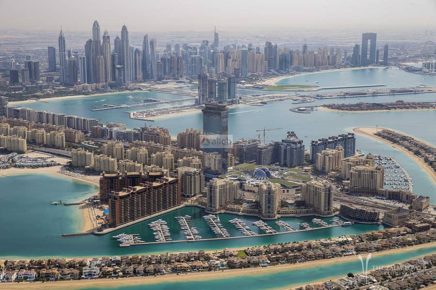 شقة في برج النخلة نخلة جميرا 1 غرف 3038000 درهم - 5346555 شقة في برج النخلة نخلة جميرا 1 غرف 3038000 درهم - 5346555