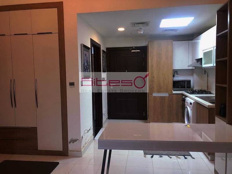 10 Luxurious Furnished Studio / closed toDiscovery Metro