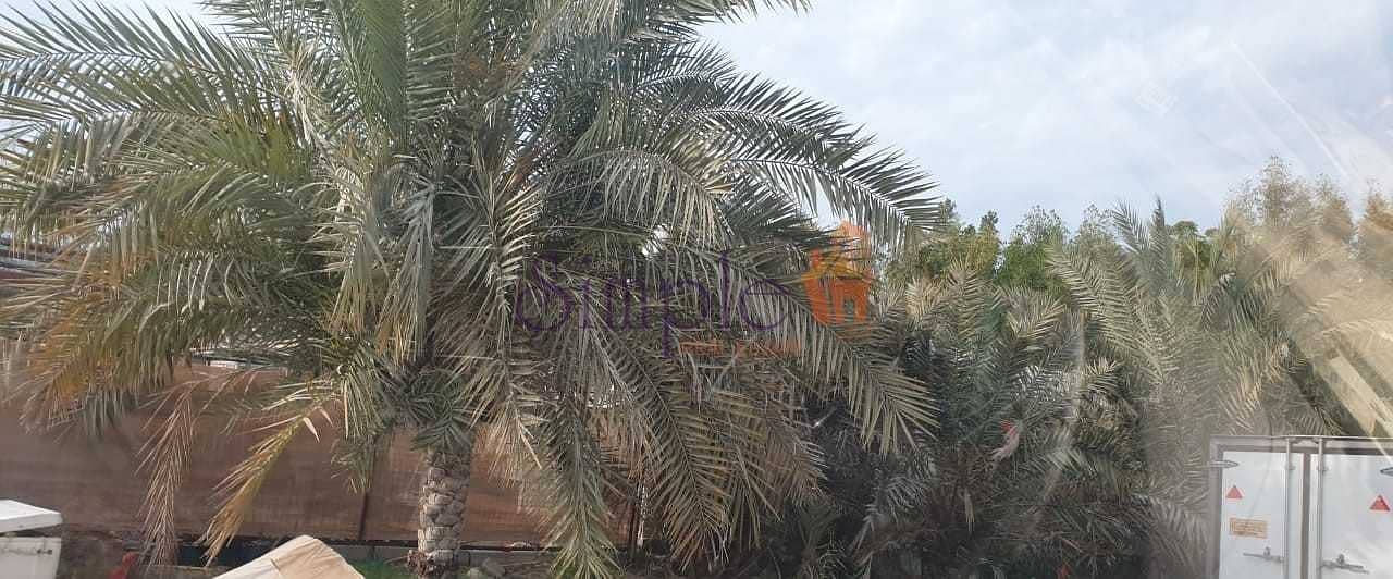 3 RESIDENTIAL LAND FOR SALE IN PRIME LOCATION NEAR SEA IN UMM SUQEIM 1