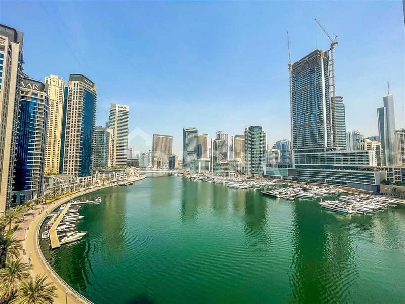 Best Marina view / Furnished / Chiller Free Best Marina view / Furnished / Chiller Free