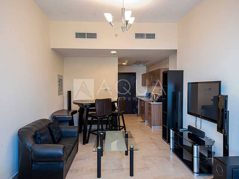 Spacious Fully Furnished Studio Apartment