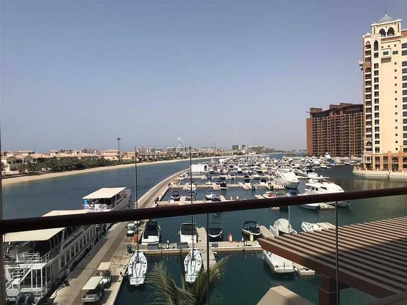 Lovely Studio l Excellent Condition l Palm Views East (550 SQFT) Lovely Studio l Excellent Condition l Palm Views East (550 SQFT)