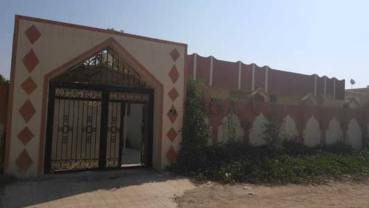 Hot Offer! Very Spacious 5Bhk Villa 10,000 Sqft In Ghafia 50,000 Only