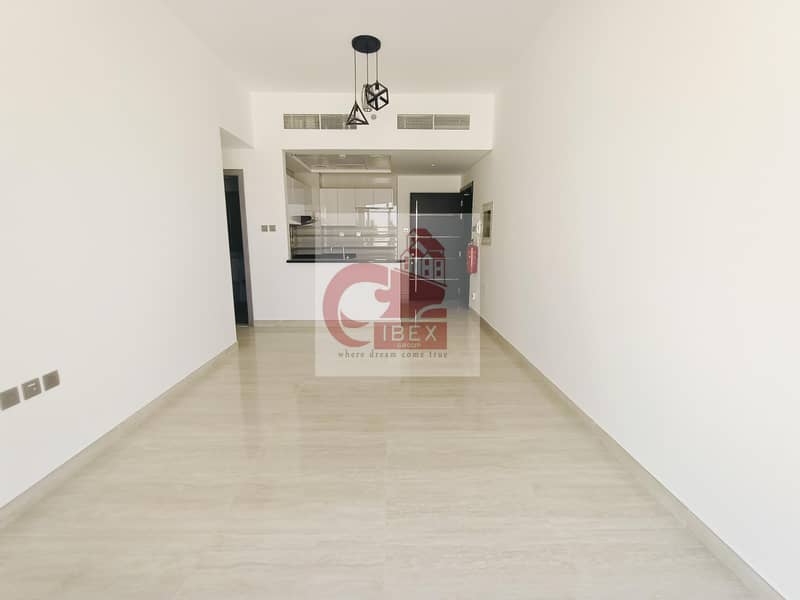 9 30 days free ! Brand new ! Spacious apartment ! With all ameneties