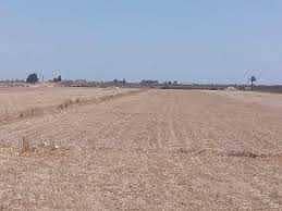 For sale commercial land in a prime location in Ajman, the Jasmine area, close to Sheikh Zayed Road