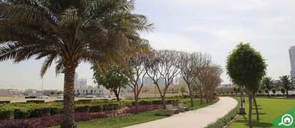 Desert Spring Village