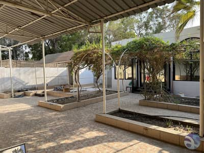 Lush Green | 3 Bedroom  Villa | Maid | Garden