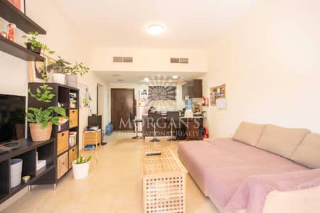 Spacious 1BR /Huge Terrace /Great Community