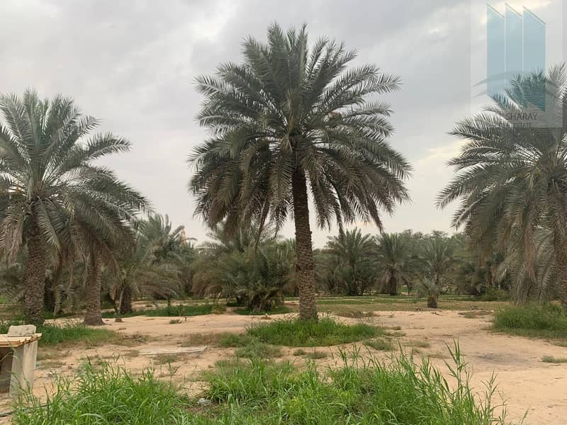 Large farm with villa for sale in Al Awir 1