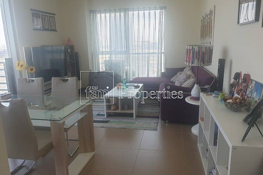 2 Massive and Attractive 1 Bedroom Apartment