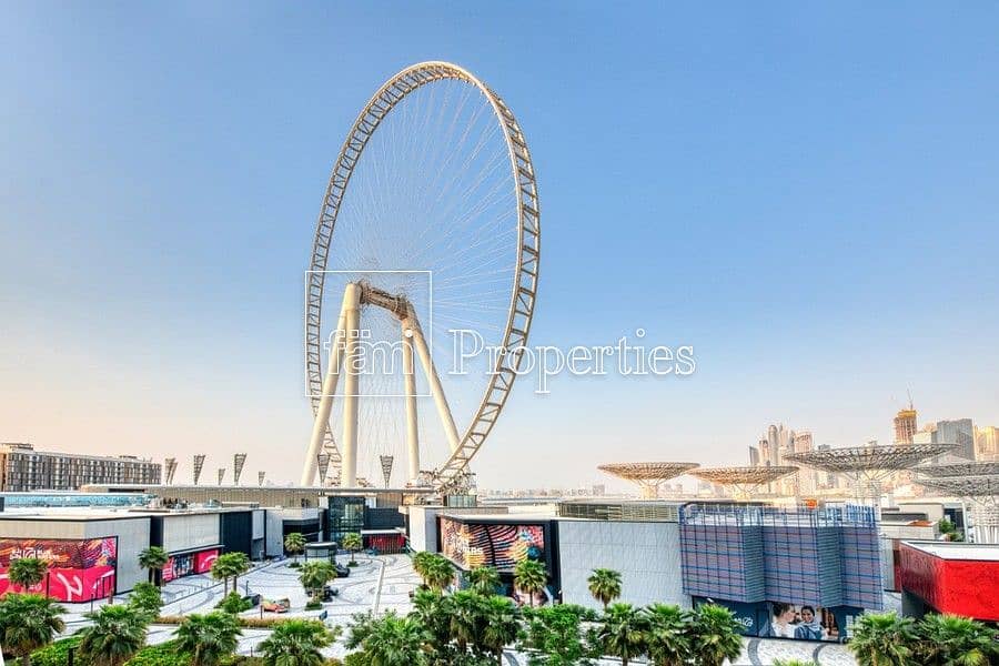Dubai Eye view | Exclusive | Rented