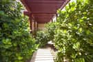 7 Luxurious Six Bedroom Villa | Beautiful Garden