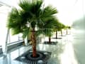 12 Sea View Luxury Apartment |High Standard |Maid's