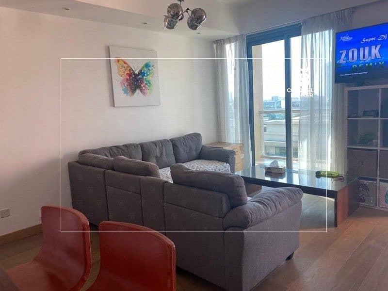 9 Spacious Upgraded Flat with Marina  View