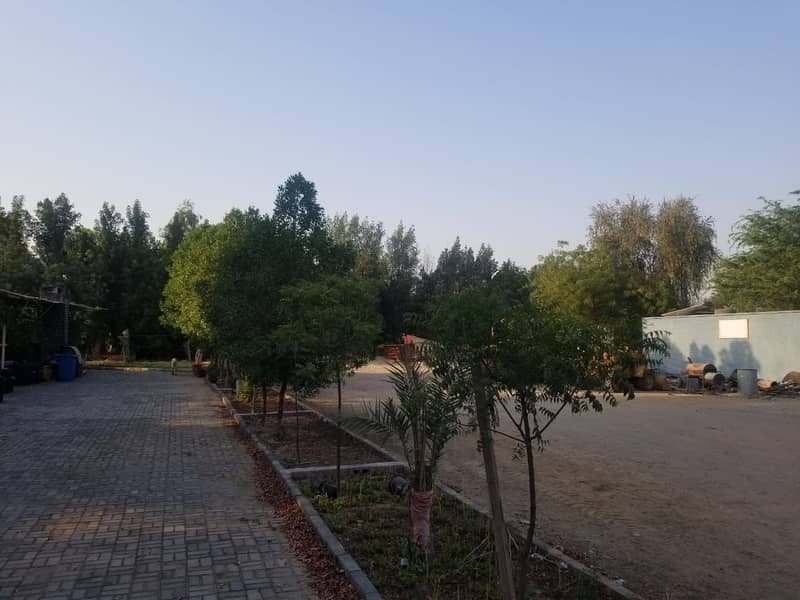 For sale a farm in the Emirate of Sharjah, Al Zubair Street direct, Sunky commercial