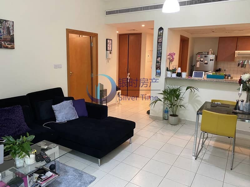 2 Park View | Investors Deal | Rented Unit | Al Alka 3