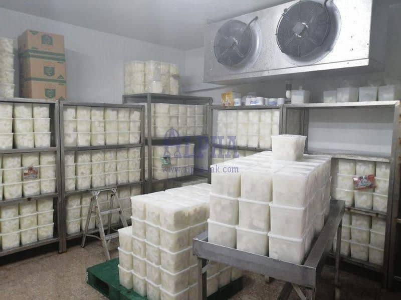 6 CHEESE FACTORY FOR SALE!!!