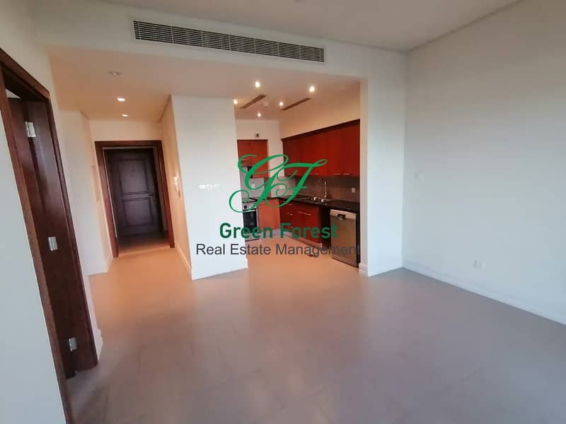 12 huge One bedroom Apartment along huge Balcony and beautiful view