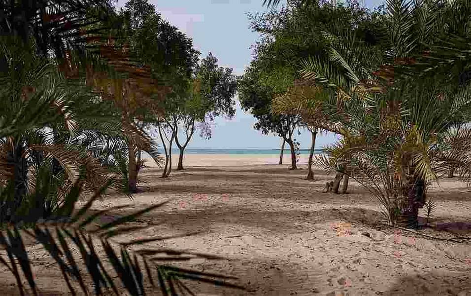 أرض سكنية  بغنتوت ابو ظبى \ محمية طبيعية \ شاطئ خاص \ اقساط حتى 5 سنوات \ مالديف الإمارات