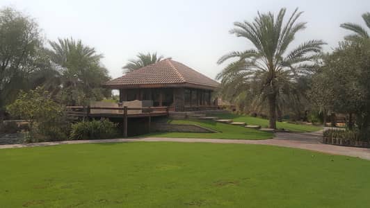 1 Bedroom Other Commercial for Sale in Al Khawaneej, Dubai - Unique Beautiful Farm I Fully Equipped I Make an Offer