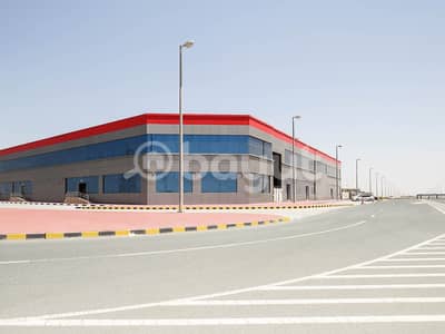 معرض تجاري  للايجار في مدينة الإمارات الصناعية، الشارقة - معرض تجاري في مدينة الإمارات الصناعية 240000 درهم - 4751494