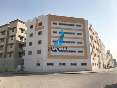 Labour Camp for Rent in Jebel Ali, Dubai - Clean & Well Maintained Rooms Available