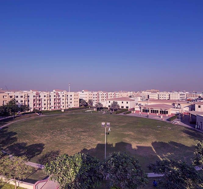 سكن عمال في نزل المنطقة الحرة جبل علي جبل علي 21000 درهم - 4575746 سكن عمال في نزل المنطقة الحرة جبل علي جبل علي 21000 درهم - 4575746