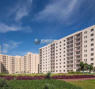 فلیٹ 2 غرفة نوم للايجار في القوز، دبي - شقة في بوابة الخيل المرحلة 2 بوابة الخيل القوز الصناعية 2 القوز الصناعية القوز 2 غرف 48000 درهم - 5177531