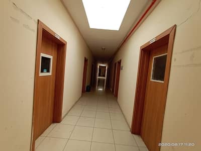 Labour Camp for Rent in Mussafah, Abu Dhabi - CORRIDOR