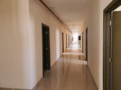 Labour Camp for Rent in Mussafah, Abu Dhabi - CORRIDOR