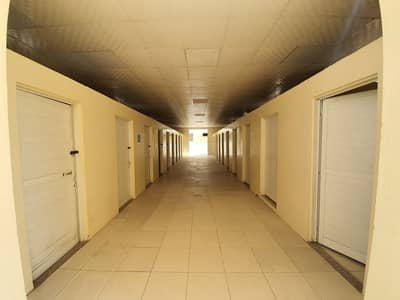 Labour Camp for Rent in Mussafah, Abu Dhabi - wash room  area