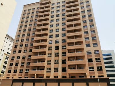 2 Bedroom Flat for Rent in Al Barsha, Dubai - Brand new 2BHK flats for rent in Al Barsha 1