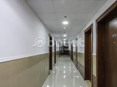 Studio for Rent in Al Helio, Ajman - Dhs 2300 monthly for 1 Year, brand new furnished all inclusive credit cards accepted