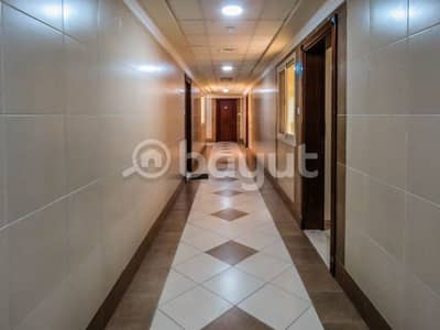 فلیٹ 2 غرفة نوم للايجار في بر دبي، دبي - شقة في الرفاعة بر دبي 2 غرف 55000 درهم - 4161933