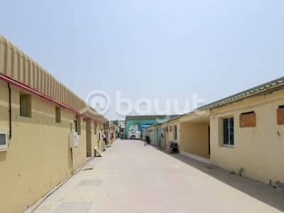 Labour Camp for Rent in Ajman Industrial, Ajman - Labour Camp