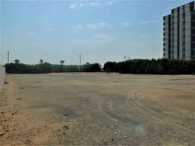 ارض سكنية  للبيع في نخلة جميرا، دبي - ارض سكنية في نخلة جميرا 60000000 درهم - 5556232