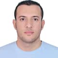 Mohammed Abdelmoneim Mohammed Abdelmoneim