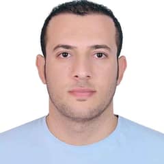 Mohammed Abdelmoneim Mohammed Abdelmoneim
