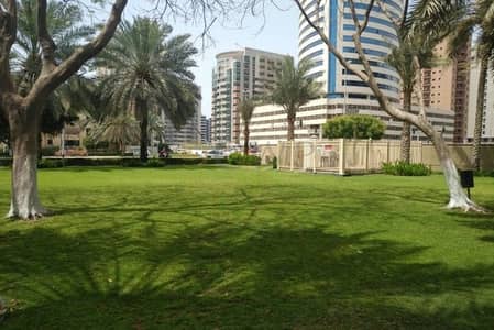 1 Bedroom Flat for Rent in The Greens, Dubai - Free Chiller | Neat and Clean | With Full Facilities