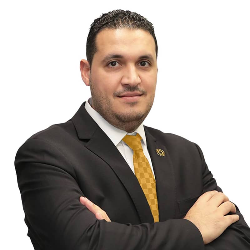 Sherif Nabil Araffa Ahmed Hegazi