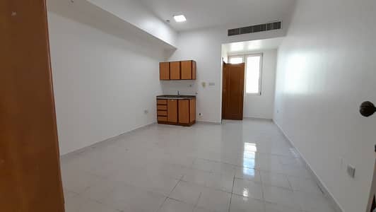 Outstanding & Neat Studio With Wardrobes,  Bathroom & Kitchen for 23k