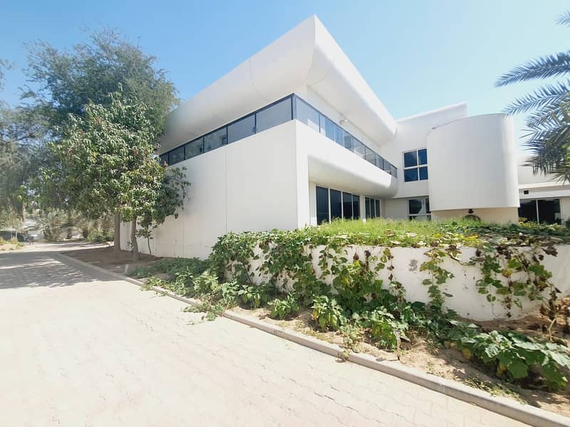 modern big independent villa  in Jumeirah 1 rent is 650k